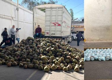 Traficaban fentanilo en cocos