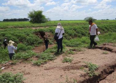 Guerreras Buscadoras necesitan una retroexcavadora