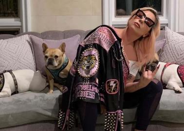 Dan 21 años de cárcel a hombre que robó perros de Lady Gaga