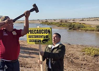 ¡Aguas con el cocodrilo!