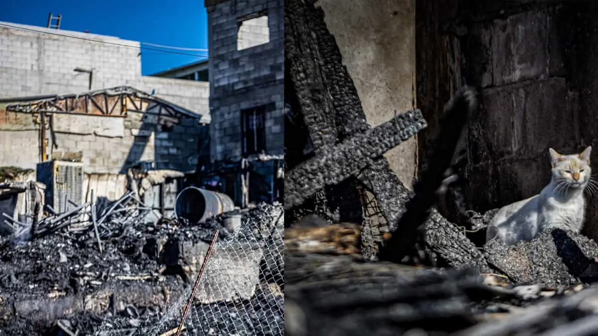 Mueren tres personas y cuatro mascotas carbonizadas en incendio