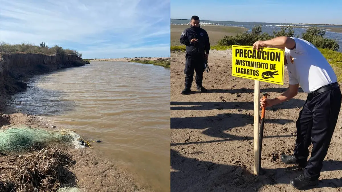 Sin rastro de cocodrilo, pero sigue la alerta