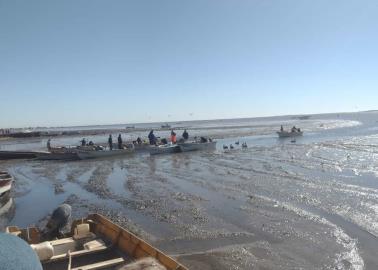 Muere otro pescador por ataque de tiburón