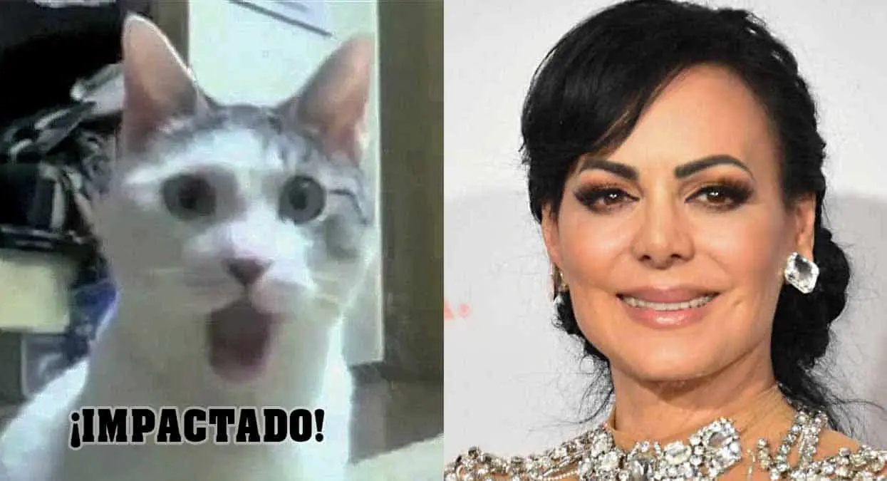 ¡Al gym de volada!: Maribel Guardia presume en redes minicintura