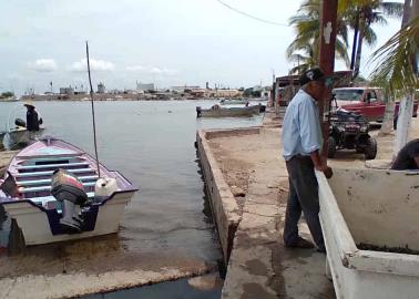 Ven tiburón y sigue miedo en Yavaros