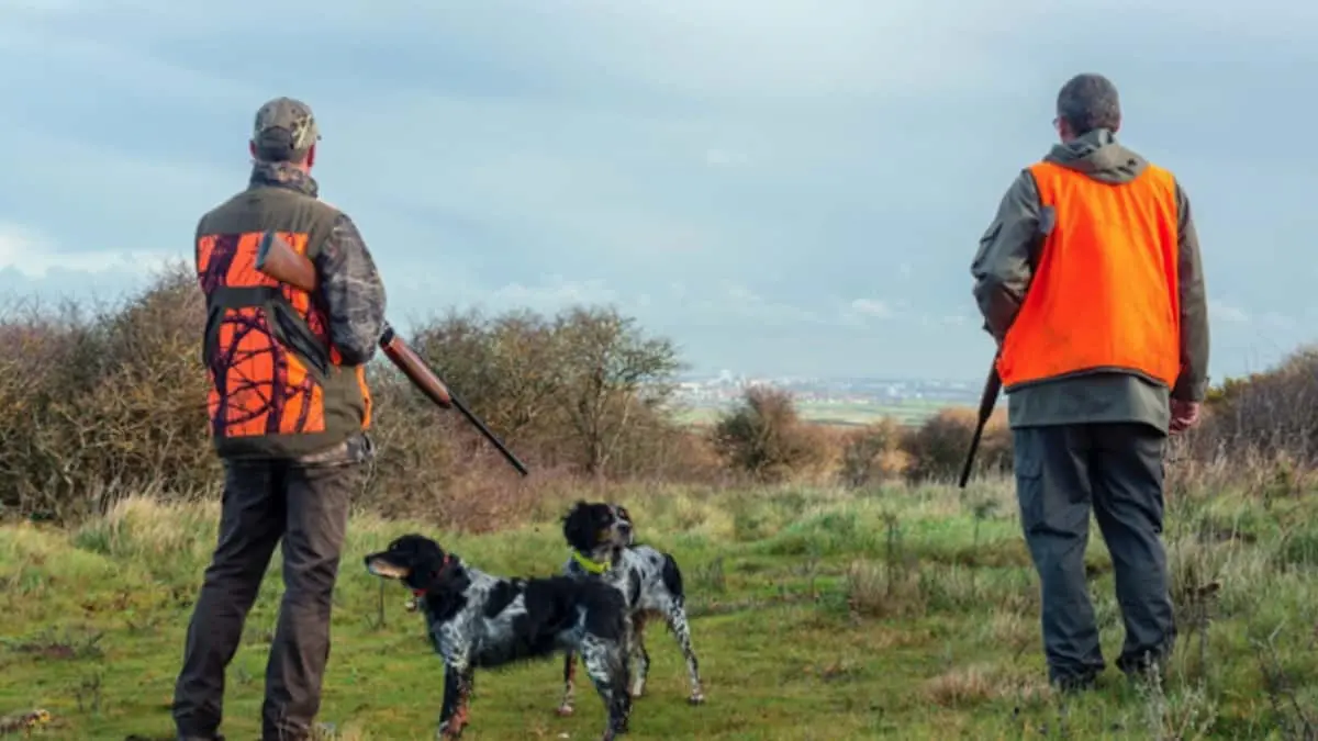 Perro mata de un balazo a un cazador en Estados Unidos