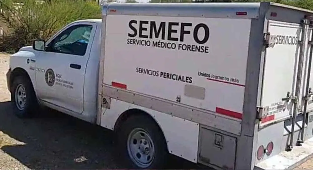 Tétrico hallazgo