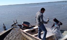 Migran pescadores a otros puertos pesqueros