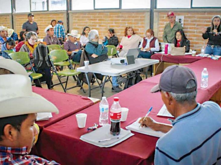 Buscan para guarijíos proyectos permanentes Buscan para guarijíos proyectos permanentes