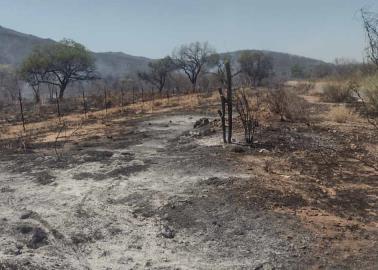 Se adelantan cinco incendios forestales