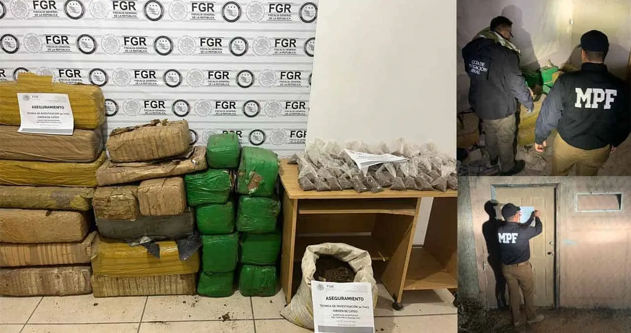 Aseguran más de 100 kilos de “mota” en cateo