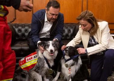 Condecoran a perritos rescatistas Balam y Orly y a su entrenador