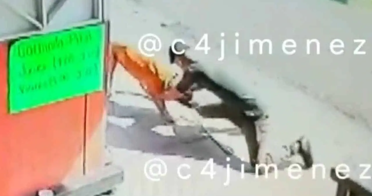 Video. Perro ataca a hombre por orden de su dueño