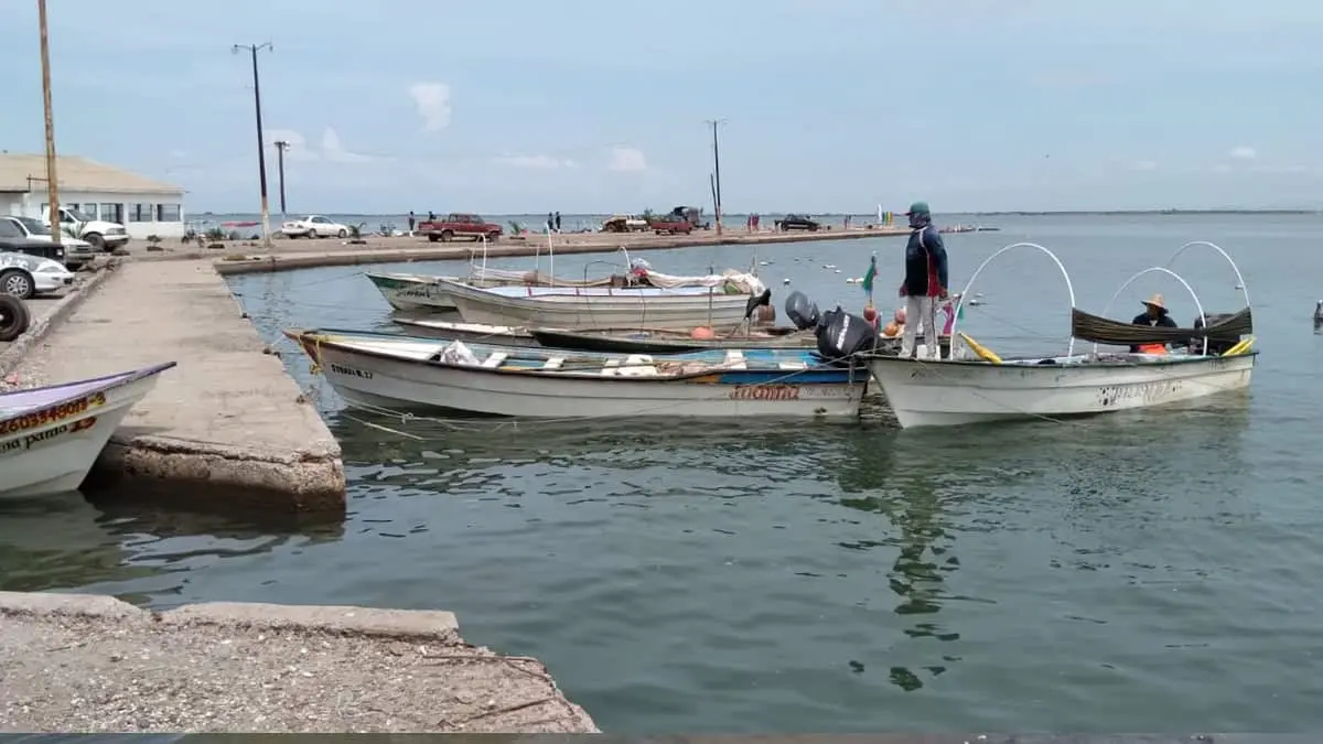 Brazalete antitiburón, la única garantía del pescador