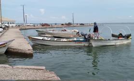 Brazalete antitiburón, la única garantía del pescador