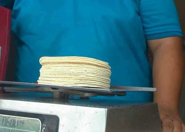 Vuelve a aumentar precio de la tortilla