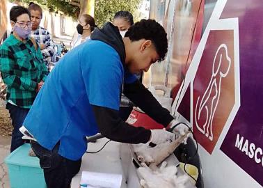 Estudiantes participan en atender a mascotas