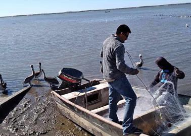 Dotarán de brazaletes a los pescadores de BJ