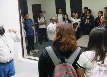 "B&uacute;hos" por un d&iacute;a