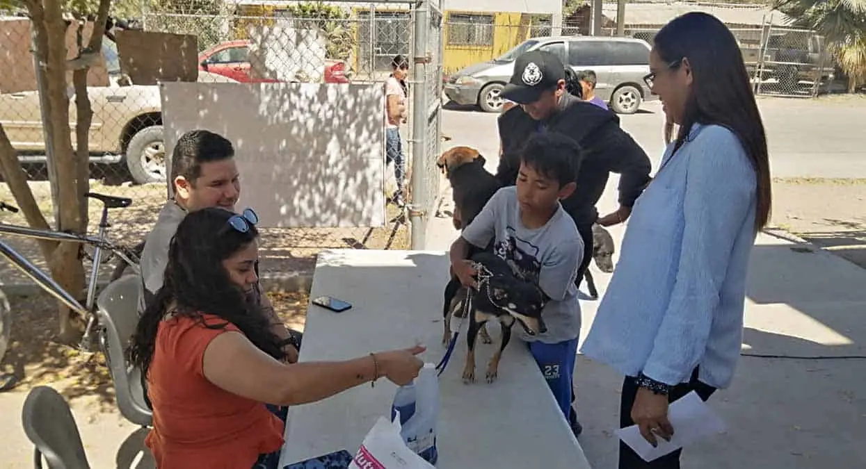 Acercan servicios de salud a navojoenses