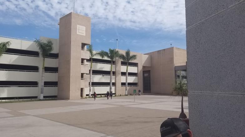 Previenen plagios académicos en las universidades