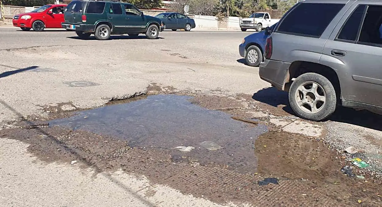 Bache en la SOP sigue creciendo