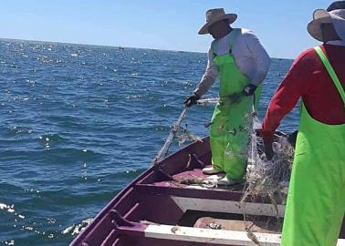 Abastecen de pescado a restaurantes locales