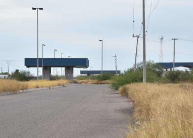 Crece Younger Optics Crece Younger Optics