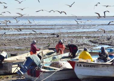 Bajan precios de permisos para la pesca