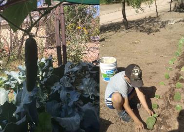 Apoyan el emprendedurismo en área rural