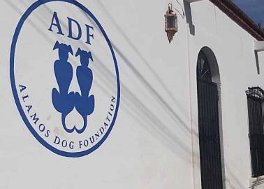 Sigue maltrato contra mascotas