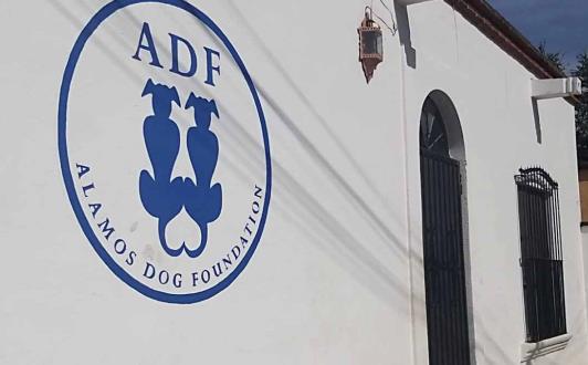 Sigue maltrato contra mascotas Sigue maltrato contra mascotas