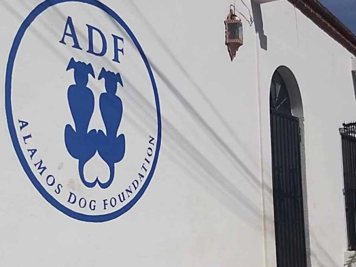 Sigue maltrato contra mascotas Sigue maltrato contra mascotas