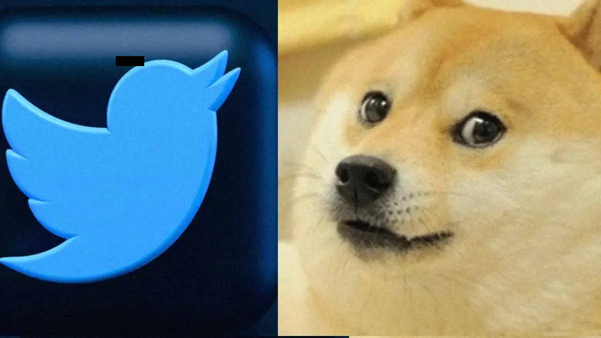 ¿Por qué aparece un perro en lugar del pájaro azul en Twitter?