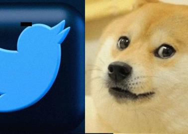 ¿Por qué aparece un perro en lugar del pájaro azul en Twitter?