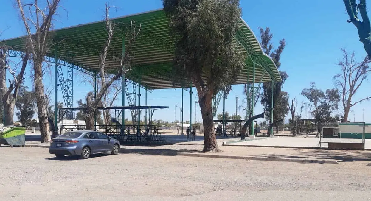 Unidades deportivas permanecerán abiertas durante días santos