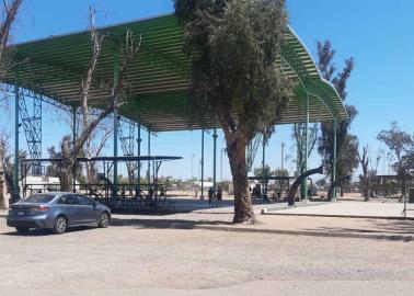 Unidades deportivas permanecerán abiertas durante días santos