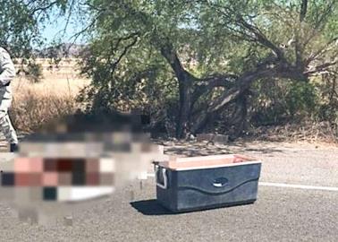 Abandonan una hielera con restos humanos en la carretera