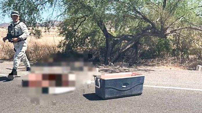 Abandonan una hielera con restos humanos en la carretera Abandonan una hielera con restos humanos en la carretera