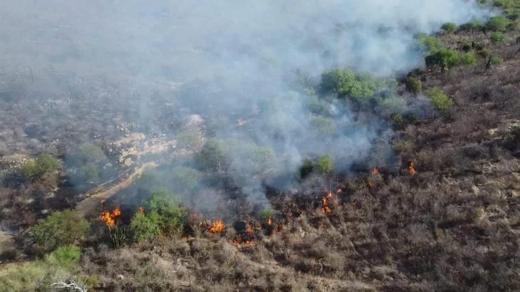 Incendio forestal arrasa con 500 hectáreas en Sonora