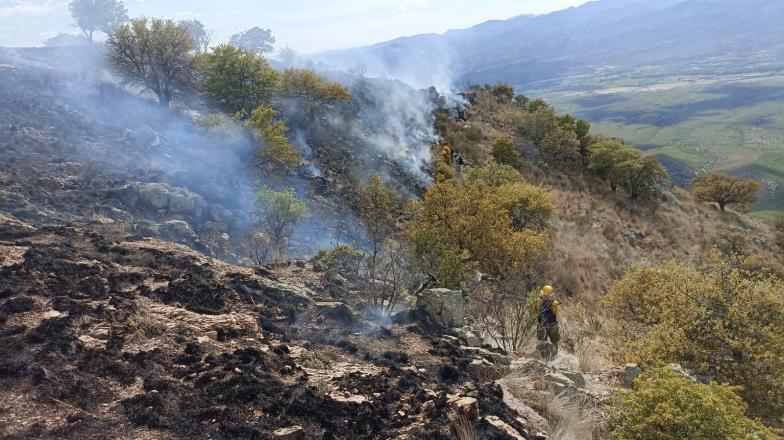 Incendio forestal arrasa con 500 hectáreas en Sonora