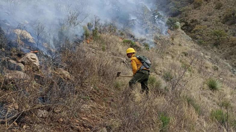 Incendio forestal arrasa con 500 hectáreas en Sonora