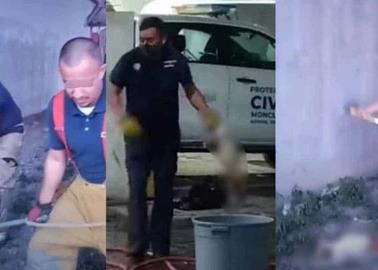 VIDEO. Bomberos de Monclova asesinan cruelmente a perros rescatados y se graban