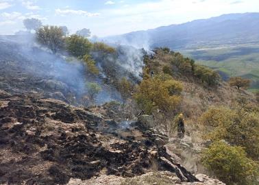 Controlado al 60% incendio en Ímuris - Magdalena Sonora