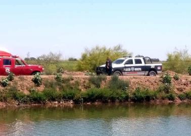 Flota cadáver "entamalado" en el Canal Bajo Flota cadáver "entamalado" en el Canal Bajo