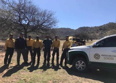 Liquidado el incendio forestal en Magdalena - Ímuris