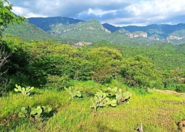 Clima Sonora. Entérate cuándo entra el nuevo frente frío