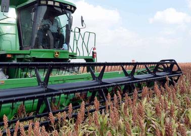 Unidos por el precio