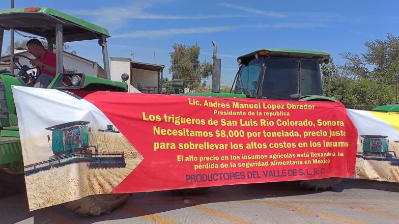 Se suman productores de SLRC a la manifestación por mejores precios del trigo y maíz