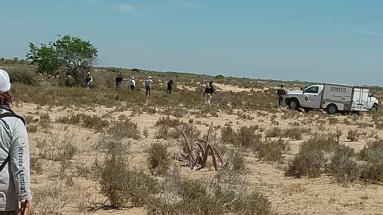 Buscadoras de Huatabampo localizan restos humanos en el municipio de Benito Juárez, Sonora